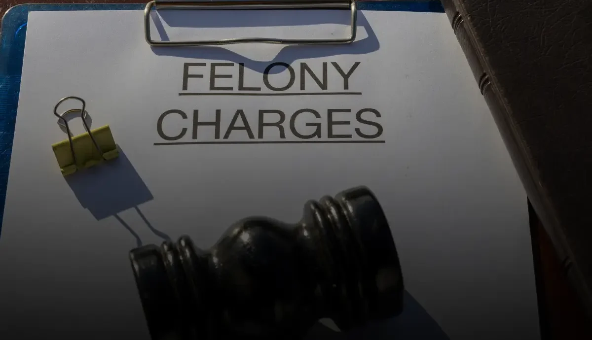 reduce felony charges NJ